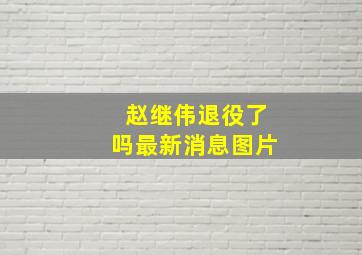 赵继伟退役了吗最新消息图片