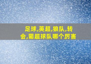 足球,英超,狼队,转会,葡超球队哪个厉害