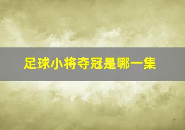 足球小将夺冠是哪一集