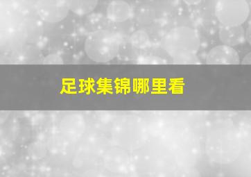 足球集锦哪里看