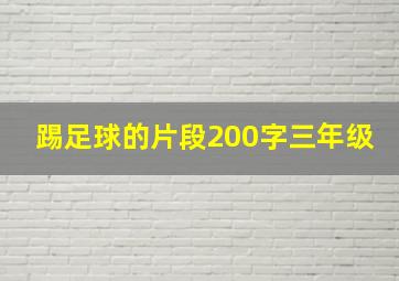 踢足球的片段200字三年级