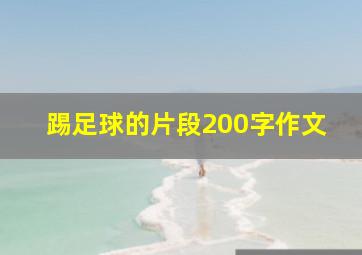 踢足球的片段200字作文