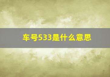 车号533是什么意思