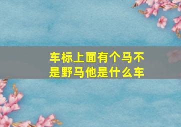 车标上面有个马不是野马他是什么车