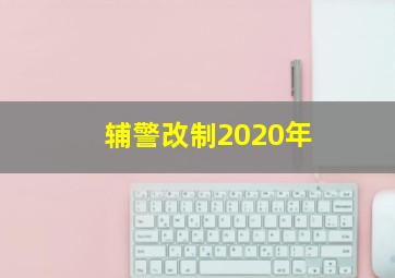 辅警改制2020年