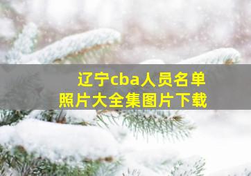 辽宁cba人员名单照片大全集图片下载