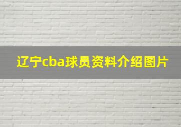 辽宁cba球员资料介绍图片