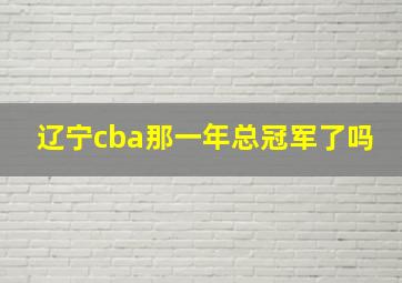 辽宁cba那一年总冠军了吗