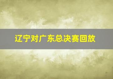 辽宁对广东总决赛回放