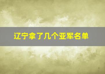 辽宁拿了几个亚军名单