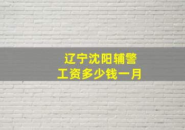 辽宁沈阳辅警工资多少钱一月