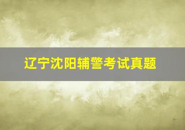 辽宁沈阳辅警考试真题