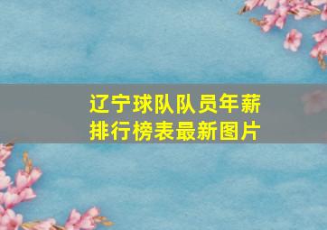 辽宁球队队员年薪排行榜表最新图片