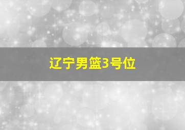 辽宁男篮3号位