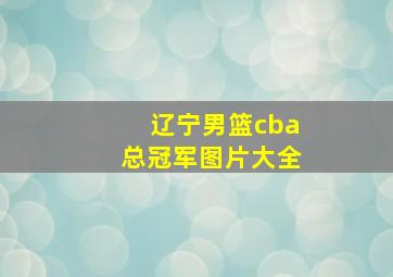 辽宁男篮cba总冠军图片大全