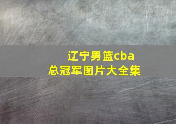 辽宁男篮cba总冠军图片大全集