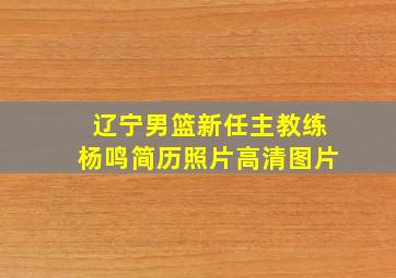 辽宁男篮新任主教练杨鸣简历照片高清图片