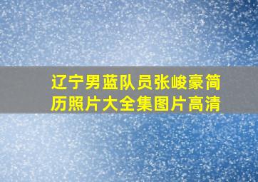 辽宁男蓝队员张峻豪简历照片大全集图片高清