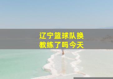 辽宁篮球队换教练了吗今天