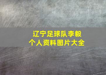 辽宁足球队李毅个人资料图片大全