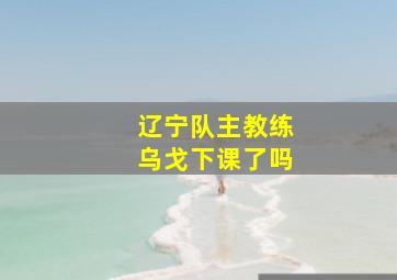 辽宁队主教练乌戈下课了吗