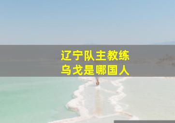 辽宁队主教练乌戈是哪国人