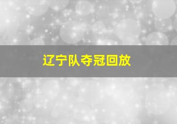 辽宁队夺冠回放