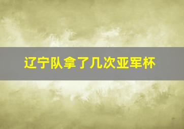 辽宁队拿了几次亚军杯