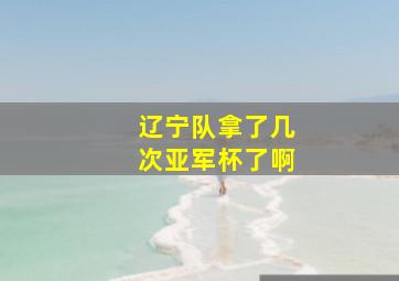 辽宁队拿了几次亚军杯了啊