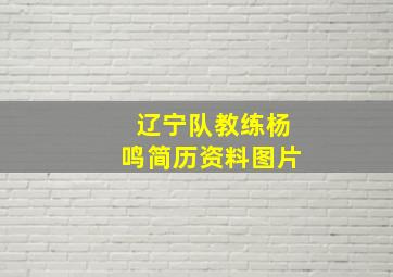 辽宁队教练杨鸣简历资料图片