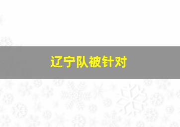 辽宁队被针对