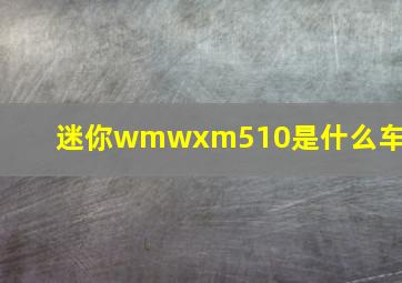 迷你wmwxm510是什么车型