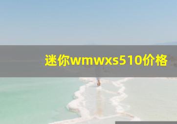 迷你wmwxs510价格