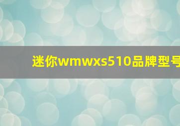 迷你wmwxs510品牌型号