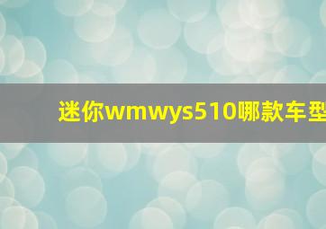 迷你wmwys510哪款车型