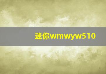 迷你wmwyw510