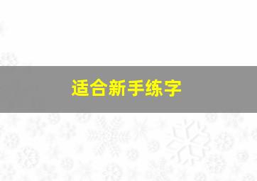 适合新手练字