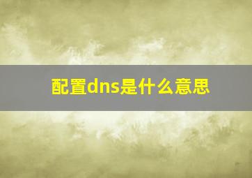 配置dns是什么意思