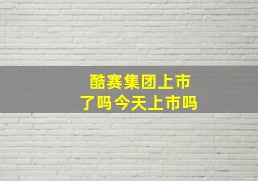 酷赛集团上市了吗今天上市吗