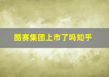 酷赛集团上市了吗知乎