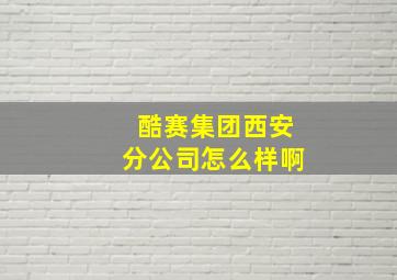 酷赛集团西安分公司怎么样啊