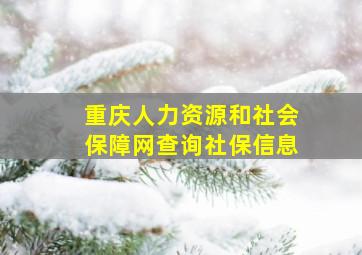 重庆人力资源和社会保障网查询社保信息