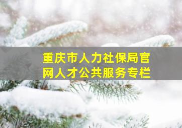 重庆市人力社保局官网人才公共服务专栏