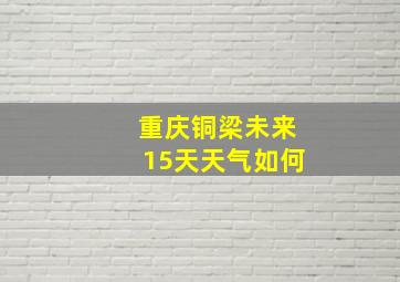 重庆铜梁未来15天天气如何