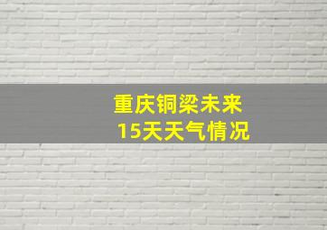 重庆铜梁未来15天天气情况