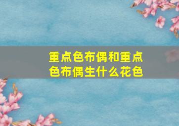 重点色布偶和重点色布偶生什么花色