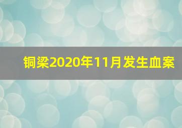 铜梁2020年11月发生血案