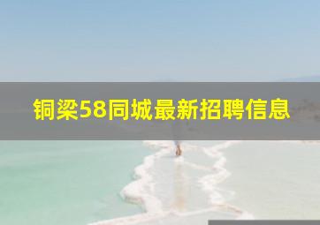 铜梁58同城最新招聘信息