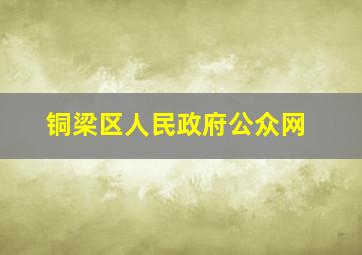 铜梁区人民政府公众网