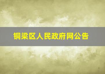 铜梁区人民政府网公告